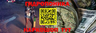 прущие грибы Чебоксары