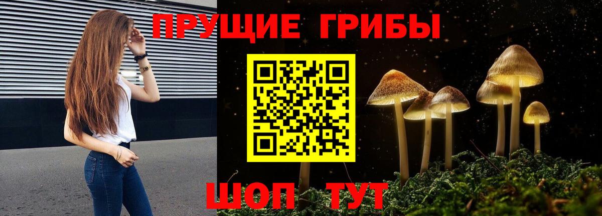 Псилоцибиновые грибы MAGIC MUSHROOMS Сорочинск